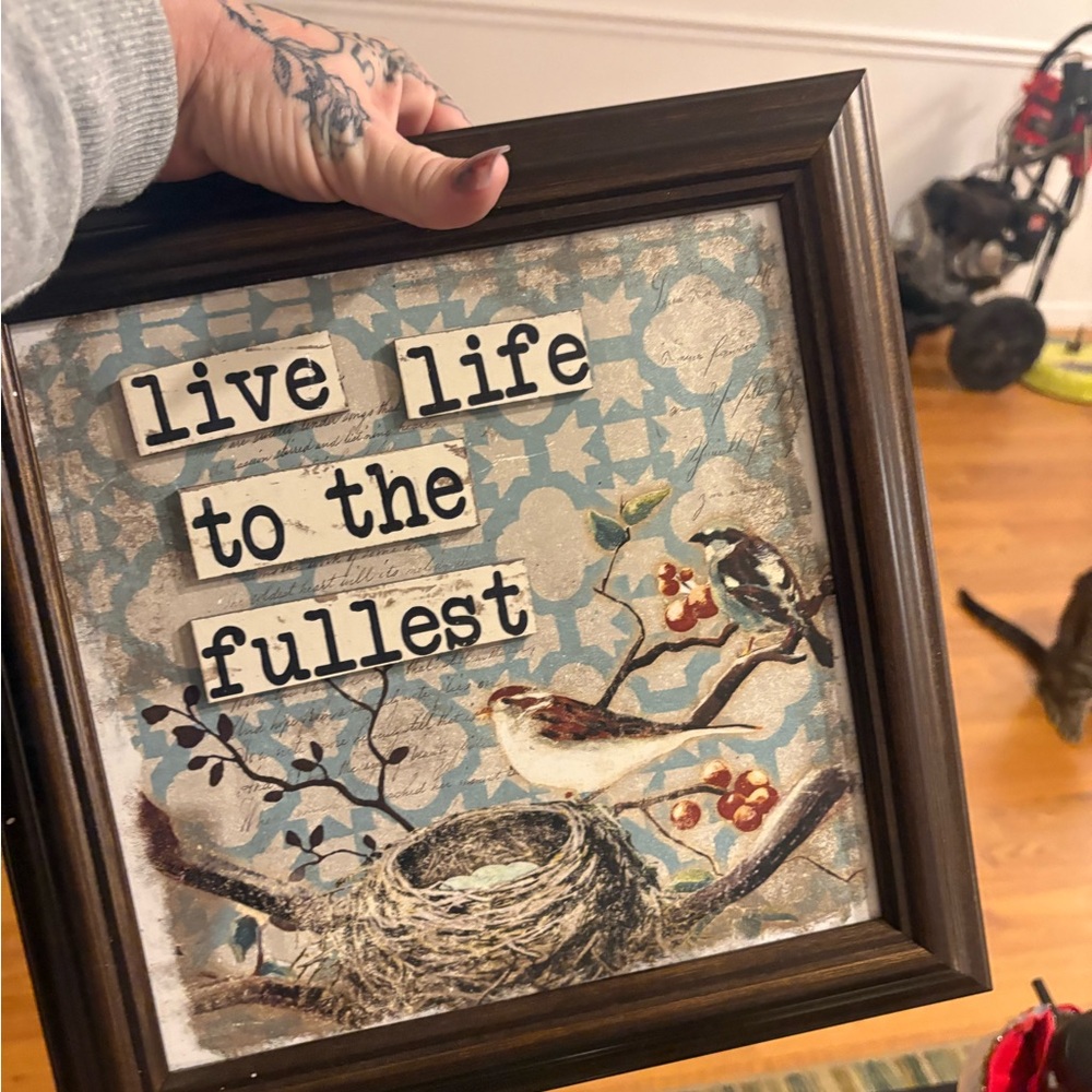 Decorative Framed Art with Birds and Nest